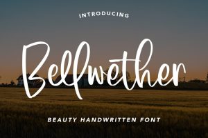 font chữ ký đẹp, font chữ ký Việt hoá, font chữ ký viết tay, font signature