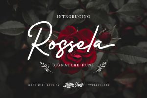 font chữ ký đẹp, font chữ ký Việt hoá, font chữ ký viết tay, font signature