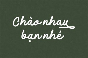font chữ viết tay Việt hoá, font chữ viết tay, typography viết tay Việt hoá, font Việt hoá